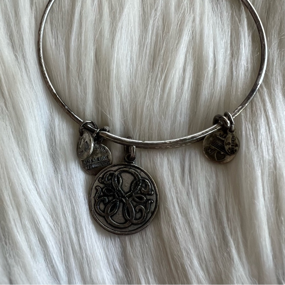 Alex and Ani Rafaelian Silver Path of Life Charm Bangle Bracelet - Picture 2 of 2